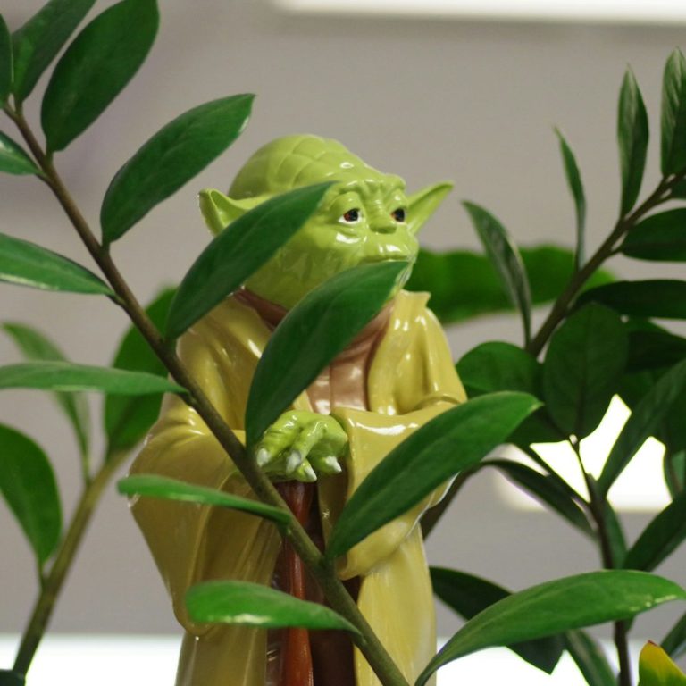 A small green toy figure (Yoda from Star Wars) peeking through leafy houseplants, representing support with personality and lived experience.